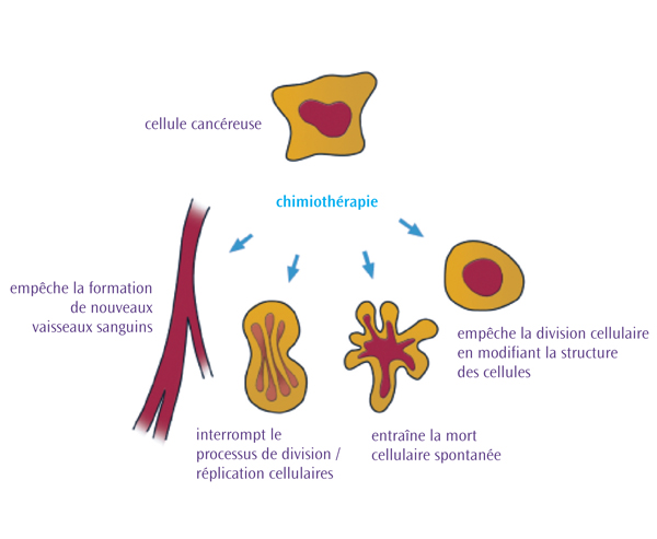 chimiothérapie Comment fonctionne la chimiothérapie?
